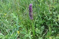 Zdjęcie: Danuta Szydlik