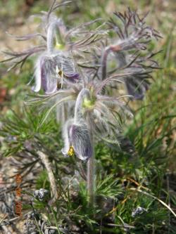 Zdjęcie: Danuta Szydlik