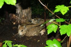 Zdjęcie: Mariusz Rostkowski