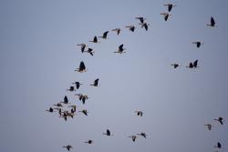 Zdjęcie: Mariusz Rostkowski