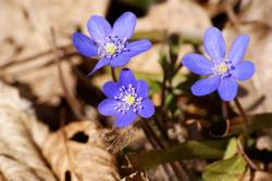 Zdjęcie: Mariusz Rostkowski