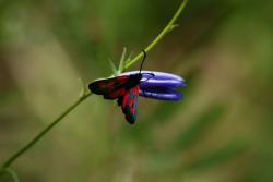 Zdjęcie:Mariusz Rostkowski