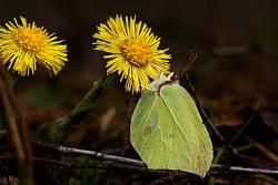 Zdjęcie: Mariusz Rostkowski