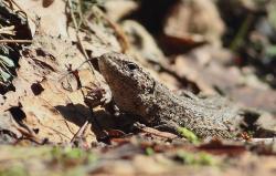 Zdjęcie: Mariusz Rostkowski