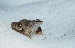 Zdjęcie: Mariusz Rostkowski