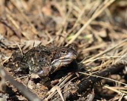 Zdjęcie: Mariusz Rostkowski