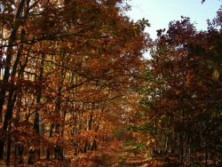 Zdjęcie: Wojciech Dec