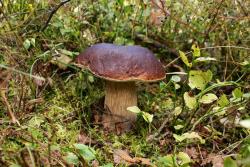 Zdjęcie: Mariusz Rostkowski