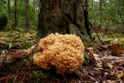 Zdjęcie: Mariusz Rostkowski