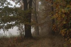 Zdjęcie: Mariusz Rostkowski