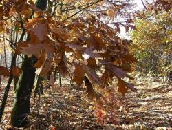 Zdjęcie: Wojciech Dec