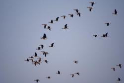 Zdjęcie: Mariusz Rostkowski