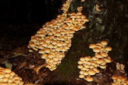 Zdjęcie: Mariusz Rostkowski