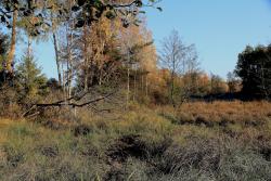 Zdjęcie: Mariusz Rostkowski