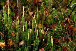 Zdjęcie: Mariusz Rostkowski