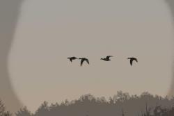 Zdjęcie: Mariusz Rostkowski