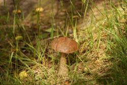 Zdjęcie: Mariusz Rostkowski