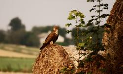 Zdjęcie: Mariusz Rostkowski