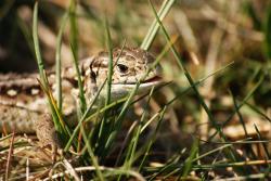 Zdjęcie: Mariusz Rostkowski