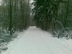 Zdjęcie: Danuta Szydlik