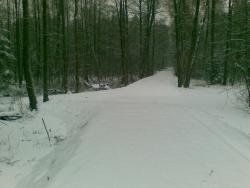 Zdjęcie: Danuta Szydlik