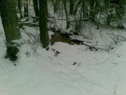 Zdjęcie: Danuta Szydlik