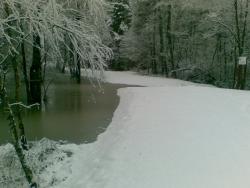 Zdjęcie: Danuta Szydlik