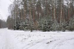 Zdjęcie: Danuta Szydlik