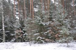 Zdjęcie: Danuta Szydlik