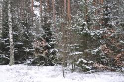 Zdjęcie: Danuta Szydlik