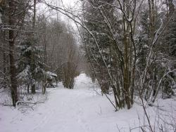 Zdjęcie: Danuta Szydlik