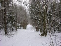 Zdjęcie: Danuta Szydlik