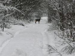 Zdjęcie: Danuta Szydlik