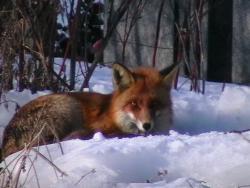 Zdjęcie: Mariusz Rostkowski