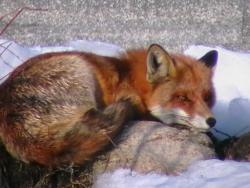 Zdjęcie: Mariusz Rostkowski