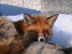 Zdjęcie: Mariusz Rostkowski