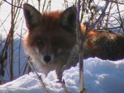 Zdjęcie: Mariusz Rostkowski