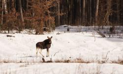 Zdjęcie: Mariusz Rostkowski