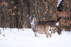 Zdjęcie: Mariusz Rostkowski