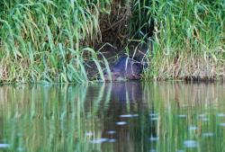 Zdjęcie: Mariusz Rostkowski
