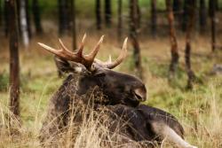 Zdjęcie: Mariusz Rostkowski