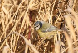 Zdjęcie: Mariusz Rostkowski