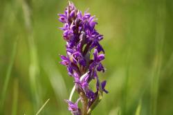 Zdjęcie: Mariusz Rostkowski