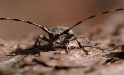 Zdjęcie: Mariusz Rostkowski