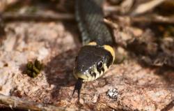 Zdjęcie: Mariusz Rostkowski