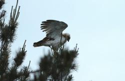 Zdjęcie: Mariusz Rostkowski