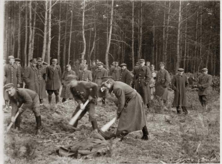 Zdjęcie: archiwum nadleśnictwa
