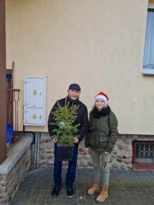 „Święte sadzonki w kościołach”