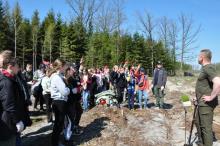 ŁĄCZĄ NAS DRZEWA - SADZENIE LASU Z NADLEŚNICTWEM PRZASNYSZ