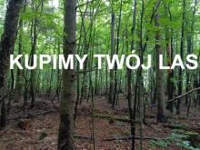 Zakup lasów oraz gruntów przeznaczonych do zalesienia
